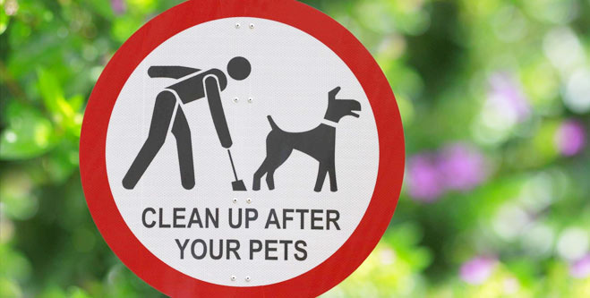Clean up after your pets