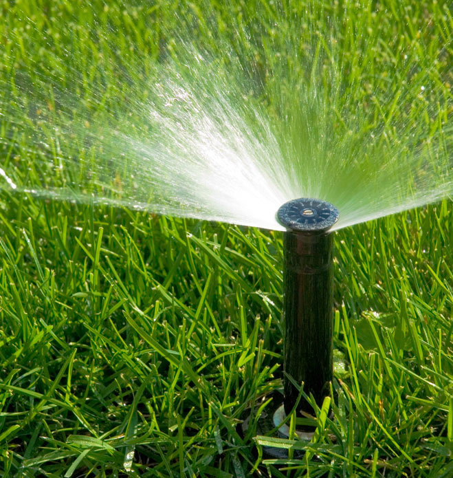 Sprinkler in grass